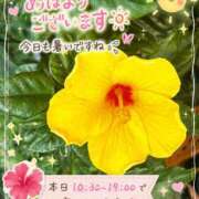 ヒメ日記 2026/08/07 08:56 投稿 若尾留里 ローテンブルク