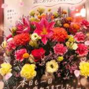 ヒメ日記 2026/09/08 19:55 投稿 若尾留里 ローテンブルク