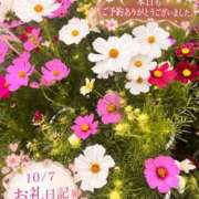 ヒメ日記 2026/10/07 17:47 投稿 若尾留里 ローテンブルク