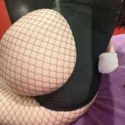 ヒメ日記 2026/03/26 15:00 投稿 マユ ドMなバニーちゃん大宮店