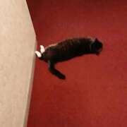 ヒメ日記 2026/04/06 09:44 投稿 あおい 人妻倶楽部 内緒の関係 大宮店