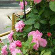 ヒメ日記 2026/04/30 20:06 投稿 あおい 人妻倶楽部 内緒の関係 大宮店