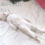 ヒメ日記 2026/04/12 15:18 投稿 あおい 人妻倶楽部 内緒の関係 川越店