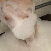 ヒメ日記 2026/03/13 00:16 投稿 ことり 千葉メイドリーム（ユメオト）