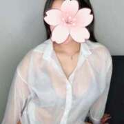 ヒメ日記 2026/04/10 05:51 投稿 乃木 麻由美 コンフォート