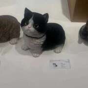 ヒメ日記 2026/03/15 17:14 投稿 かおり オナクラ大人女子