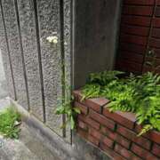 かおり イベントDAY🌼 オナクラ大人女子