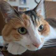 ヒメ日記 2026/04/12 21:45 投稿 むつき 完熟ばなな新宿