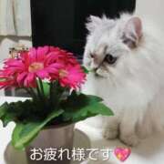 ヒメ日記 2026/03/16 13:02 投稿 まりん 丸妻 横浜本店