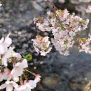 ヒメ日記 2026/04/07 21:57 投稿 りこ 京都デリヘル倶楽部FIRST