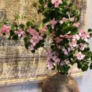 りこ 退勤！🌙 京都デリヘル倶楽部FIRST