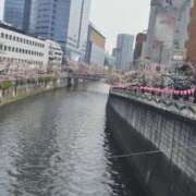 ヒメ日記 2026/04/02 12:25 投稿 杉原えみ 渋谷エオス