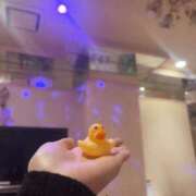 ヒメ日記 2026/06/09 19:12 投稿 りっか ピンクコレクション大阪キタ店