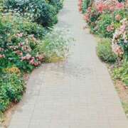 ヒメ日記 2026/04/01 08:01 投稿 もえか 奥様はエンジェル　立川店