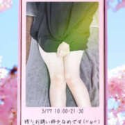 ヒメ日記 2026/03/17 08:11 投稿 大宮校こるく クンニ専門店 おクンニ学園 池袋校