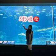 ヒメ日記 2026/08/04 20:53 投稿 リコ ニューハーフヘルスSURPRISE ONE日本橋店