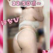 ヒメ日記 2026/03/12 20:29 投稿 はなび 香川高松ちゃんこ