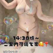 ヒメ日記 2026/03/13 11:49 投稿 はなび 香川高松ちゃんこ