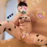 ヒメ日記 2026/03/14 22:29 投稿 はなび 香川高松ちゃんこ