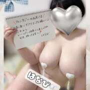 ヒメ日記 2026/03/16 23:11 投稿 はなび 香川高松ちゃんこ