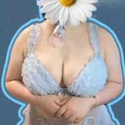 ヒメ日記 2026/03/27 08:31 投稿 はなび 香川高松ちゃんこ