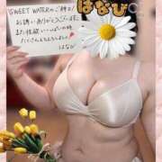 ヒメ日記 2026/03/27 20:29 投稿 はなび 香川高松ちゃんこ