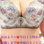 ヒメ日記 2026/04/14 10:04 投稿 あかり ニューヨーカー