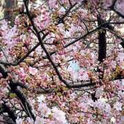 ヒメ日記 2026/03/17 11:01 投稿 速水（ハヤミ） アバンチュール(五反田)