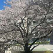 速水（ハヤミ） こんにちは? アバンチュール(五反田)