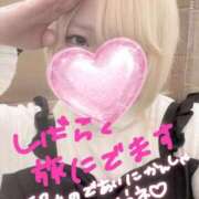 綾波 旅人 BBW（ビッグビューティフルウーマン）