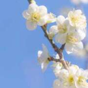 ヒメ日記 2026/03/17 14:04 投稿 みなこ 熟女の風俗最終章 仙台店