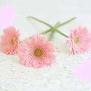 ヒメ日記 2026/03/21 00:24 投稿 みなこ 熟女の風俗最終章 仙台店