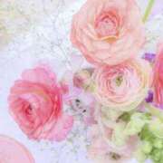 ヒメ日記 2026/04/02 15:54 投稿 みなこ 熟女の風俗最終章 仙台店