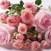 ヒメ日記 2026/04/02 16:01 投稿 みなこ 熟女の風俗最終章 仙台店