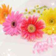 ヒメ日記 2026/04/05 19:02 投稿 みなこ 熟女の風俗最終章 仙台店