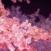 ヒメ日記 2026/04/09 21:42 投稿 みなこ 熟女の風俗最終章 仙台店