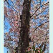 ヒメ日記 2026/04/09 22:24 投稿 みなこ 熟女の風俗最終章 仙台店