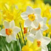 ヒメ日記 2026/04/11 12:24 投稿 みなこ 熟女の風俗最終章 仙台店