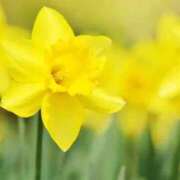 ヒメ日記 2026/04/11 12:36 投稿 みなこ 熟女の風俗最終章 仙台店