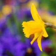 ヒメ日記 2026/04/11 12:44 投稿 みなこ 熟女の風俗最終章 仙台店