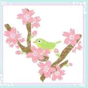 ヒメ日記 2026/04/12 15:04 投稿 みなこ 熟女の風俗最終章 仙台店