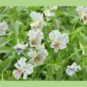 ヒメ日記 2026/04/17 15:48 投稿 みなこ 熟女の風俗最終章 仙台店