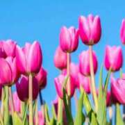 ヒメ日記 2026/04/18 12:04 投稿 みなこ 熟女の風俗最終章 仙台店