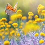 ヒメ日記 2026/04/18 12:34 投稿 みなこ 熟女の風俗最終章 仙台店