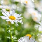 ヒメ日記 2026/04/19 12:34 投稿 みなこ 熟女の風俗最終章 仙台店