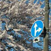 ヒメ日記 2026/04/08 17:55 投稿 あさ 池袋夢幻