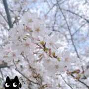 ヒメ日記 2026/04/03 13:26 投稿 神代ねね 人妻ジャンキー