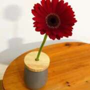 ヒメ日記 2026/03/29 08:15 投稿 ののか 池袋人妻アデージョ