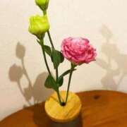 ヒメ日記 2026/03/29 08:23 投稿 ののか 池袋人妻アデージョ