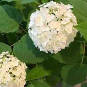 ヒメ日記 2026/06/09 22:09 投稿 ののか 池袋人妻アデージョ